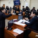 당연이 이미지