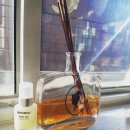 로덱스코리아 이미지