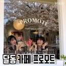 프로모트 - 종로구 종로46길 11 | 프로모트