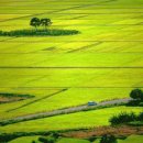 평사리공원 이미지