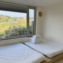 멍쿠실낭 이미지