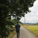 낭산중기 네이버블로그