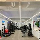다조아GYM 이미지