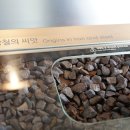 고양모터스 이미지