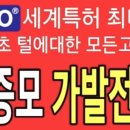 김천가발김호증모김연헤어클리닉