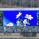화랑유원지 제2주차장 이미지