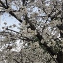 오빠야농장 이미지