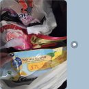 비치인형뽑기 | 호이안에서 다낭 이동/씨홀스트로피칼호텔/고마트 인형뽑기