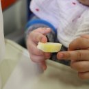 농업회사법인 햇살 주식회사 이미지
