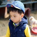 하준농장 이미지