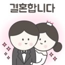 식이카 서비스 이미지