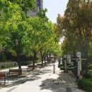 월드컵대로 이미지