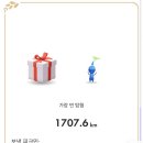 마리블룸 티스토리