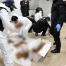 광주과학수사연구소 세계일보