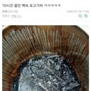 갤러리백숙 이미지