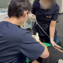 선릉애플치과의원 | 선릉역 치과 추천 3가지만 확인하면 됩니다