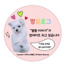 빙고네펫샵 이미지