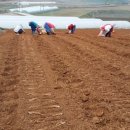 창수농장 이미지