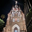 미겔리또 이미지