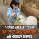 11545-04-02-14 | 인천 아이랑 가볼 만한 곳｜유치원 끝나고 가기 좋은 서창 실내 동물원 쥬벅스 체험 후기