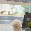 몽메이트