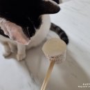 따스한 동물병원 이미지