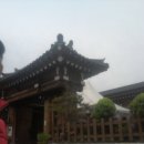꼬추장 이미지