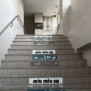 로얄 펫살롱 이미지