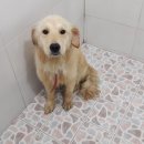 골든카클리닉 이미지