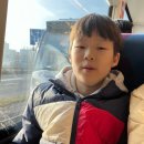 베르메르의 델프트: 로열 델프트, House of Frites, 시청, 신교회/구교회, 다시 가야겠다…