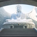 대한조경개발주 이미지