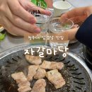 우암동 청주대 삼겹살 맛집 자갈마당 내돈내산 간장삼겹살,가브리살 후기