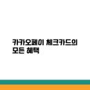 체크페이 네이버블로그