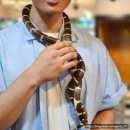 내서읍1320 | 아기랑 창원실내동물원 애니멀스토리 다양한 체험이 가능한 곳