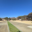 달성공원 | 대구 아기랑 갈만한곳, 달성공원 평일 산책 후기(ft. 16개월)