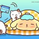 제일안과의원 네이버블로그