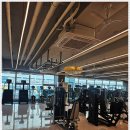 웰니스앤핏 헬스 PT 동탄호수공원점 이미지