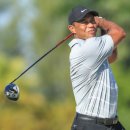 우즈골프연습장 | 타이거우즈 샤프트 투어AD VF 피팅 비교 시타 구매 후기 임실 골프샵