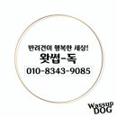 왓썹독 이미지