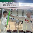 일일장터 이미지