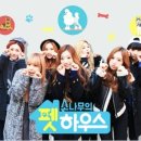 소나무 PC 이미지