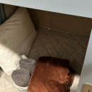 달하노피곰 캡슐호텔 | 정읍 리보투어 3기 1일차 TMI 후기