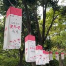 공유숲 | 가을 꽃구경하러 오세요, 김해 꽃무릇 숲길 축제 후기 및 개화 상황 공유