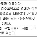 조경기능사 필기 기출문제 및 CBT 2013년10월12일(5회)