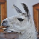 조재형치과의원 이미지