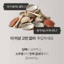 3공단3로3L-10 | 35% 할인 미닉스 음식물쓰레기처리기 추천 가정용 분쇄기 더플렌더 MAX 3L 대용량