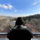 연말 호캉스 추천 - 화성 롤링힐스 호텔 디럭스룸 & 수영장 후기