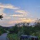 꿈꾸는 소나무민박 이미지