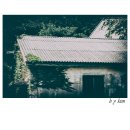 관매도(관호) 이미지