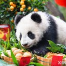 자이안트 이미지